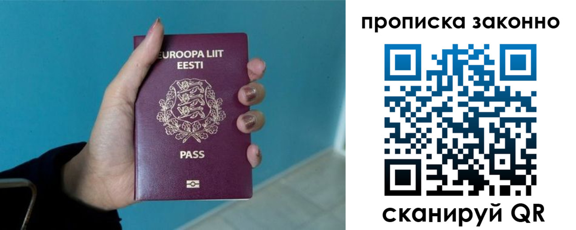 прописка гарантия в Ершове
